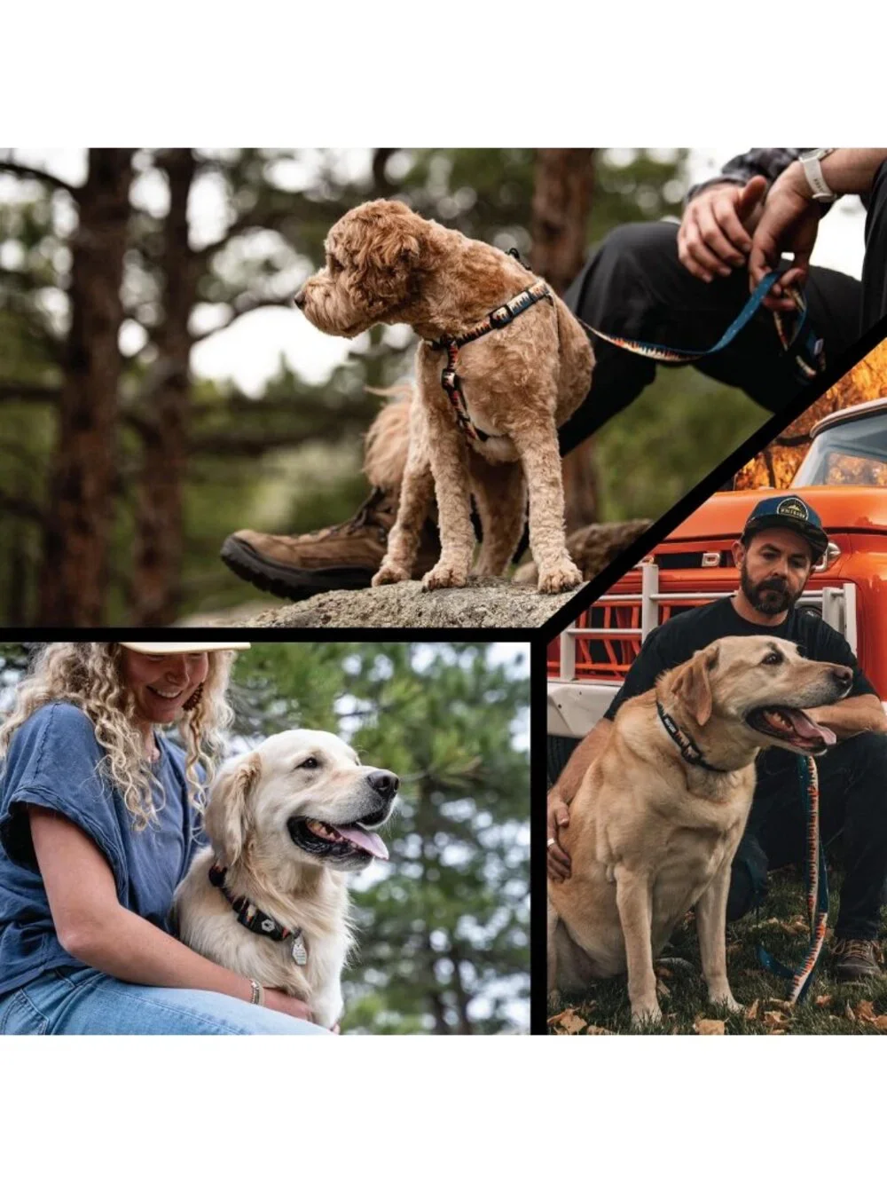 Adjustable Heavy Duty Dog Collar with Quick Release Buckle for Training